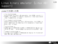 Linux binary emulator (Linux ABI support)